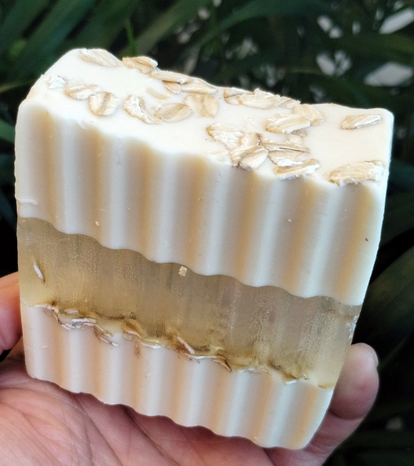 Honey & Oats Bar π―