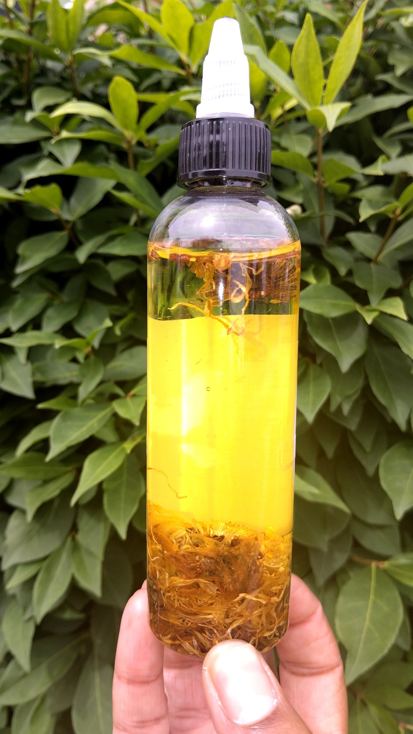 The Daily Glow Body Oil ( Unscented)